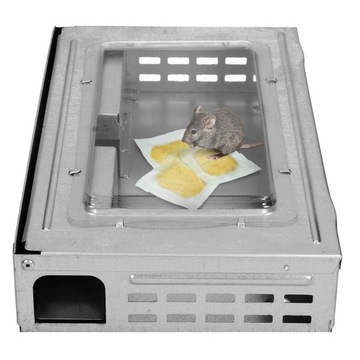 СИЛЬНАЯ ПРИМАНКА ДЛЯ КРЫС И МЫШЕЙ, БЕЗ ЛОВУШЕК ДЛЯ ВРЕДИТЕЛЕЙ, 100 Г