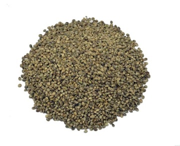KONOPIA WĘDKARSKA, NASIONA KONOPI, KONOPIE 1 kg