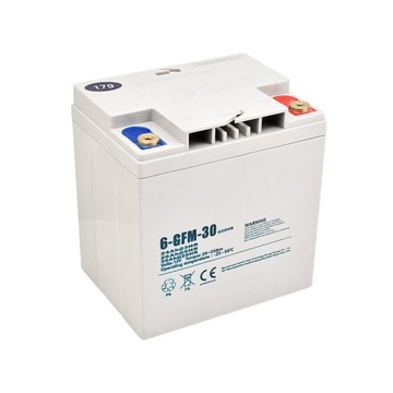 BATERIA WÓZEK ELEKTRYCZNY EPT20-15EHJ 12V 30Ah