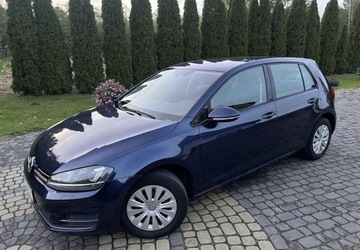 Volkswagen Golf VII Hatchback 3d 1.2 TSI 85KM 2014 Volkswagen Golf VII 1.2 TSI 86KM Highline BiXenon LED PDC 1wł. SerwisASO, zdjęcie 1