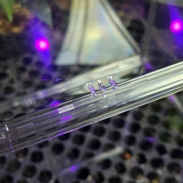 Мини-акриловая теплица для детских растений Alokazja Anthuria 40х25х30см