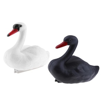 2x Pływający w obliczu czarno-biały łabędź