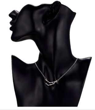 Ожерелье с зодиаком -знак Гороскоп Козерог 01