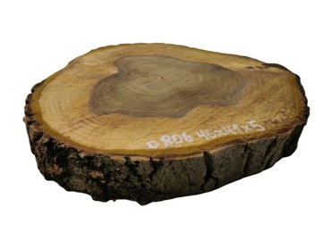 Plaster Drewna Orzech Włoski 46x41x5cm Drewniana Patera