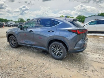 Lexus NX II 2025 Lexus NX 250 Premium 2025 2.5 Benzyna 203KM, zdjęcie 1