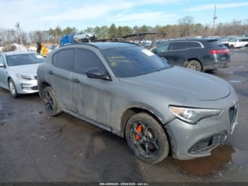 Alfa Romeo Stelvio SUV 2.0 Turbo 280KM 2018 Alfa Romeo Stelvio 2018 r., 2,0L AWD 2.0 Benzyna 280KM, zdjęcie 13