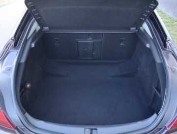 Opel Insignia I Hatchback Facelifting 2.0 CDTI Ecotec 170KM 2015 Opel Insignia 2.0 CDTI, Salon Polska, Serwis ASO, zdjęcie 11