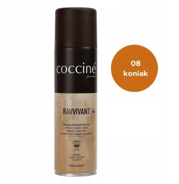 COCCINE RENOWATOR DO ZAMSZU KONIAK / FARBA