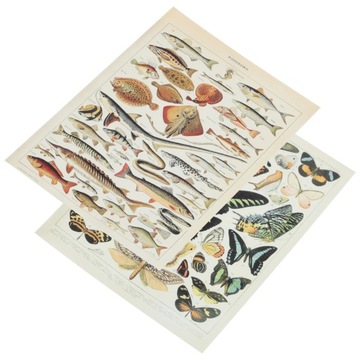 Сказочный декор для комнаты, подвесные картины «Океан», 2 шт.