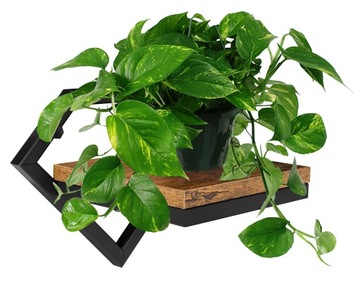 Kwietnik metalowy ścienny czarny Doron Rustic loft