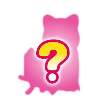 Sylvanian Families DIY Zrób to Sam Torebka Niespodzianka 5838