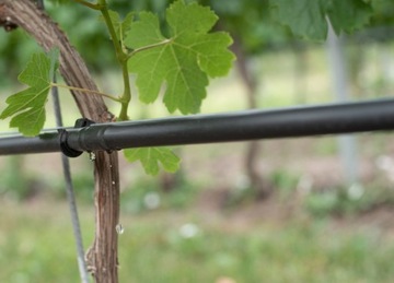 10 шт. ЗАГЛУШКИ КАПЕЛЬНОЙ ЛИНИИ КАПЕЛЬНОЕ УВЛАЖНЕНИЕ