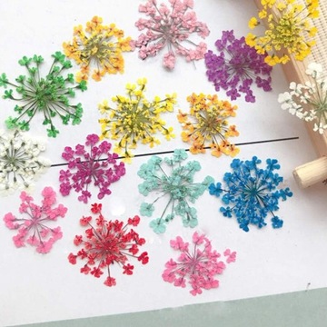 Высушенные цветы на ногтях украшения гибридные искусственные цветы кассета