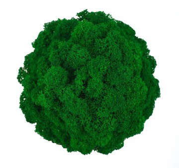 Мох в горшке МИКРОКЛИМАТ БОЧКИ