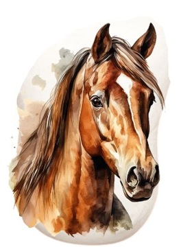 PODUSZKA KSZTAŁTKA KOŃ KONIK tył plusz minky