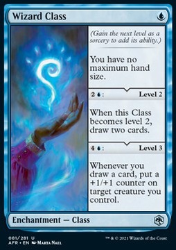 Karta Magic: The Gathering Wizard Class AFR Card WIZARDS OF THE COAST