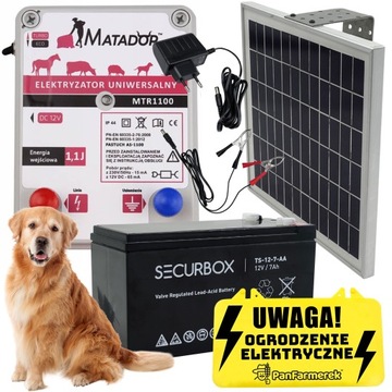 Pastuch elektryczny elektryzator 1,1J psy konie +BATERIA + Panel Solarny