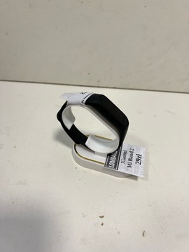 СПОРТИВНЫЙ ГРУППА SMARTBAND (1540/22)