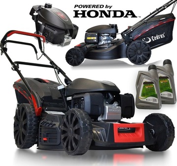 KOSIARKA SPALINOWA GCV200 HONDA CEDKS53H CEDRUS KS53 S H KS