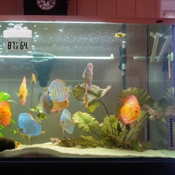 НАРУЖНЫЙ ВНУТРЕННИЙ ОКОННЫЙ ТЕРМОМЕТР ДЛЯ ОКНА ЦИФРОВОЙ ГИГРОМЕТР °C/°F