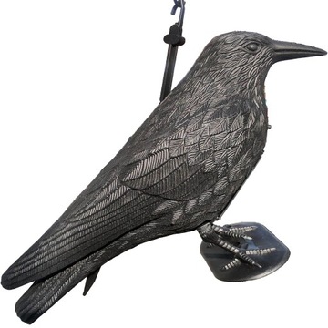 Звук ворона птица отпугивает голубей скворцов дятлов ласточек птиц