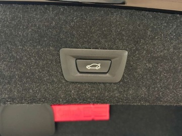 BMW Seria 3 G20-G21 Limuzyna 2.0 320i 184KM 2021 BMW Seria 3 BMW 320i Sport Line Dealer BMW M-Cars Group 2.0 Benzyna 184KM, zdjęcie 25