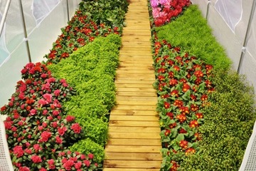 Tunel foliowy 2x3m. 6 m². biała szklarnia