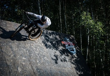 KELLYS WHIP 30 2024 M РАМА