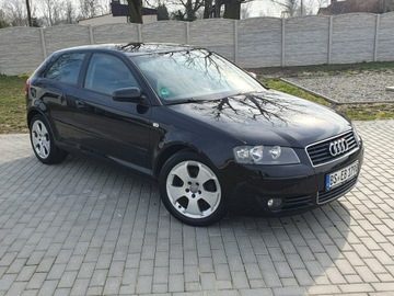 Audi A3 8P Hatchback 3d 2.0 TDI PD 140KM 2004 Audi A3 2.0tdi 140KM Skóra Klima Alu17 Raty, zdjęcie 30
