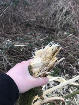 Kosiarka bijakowa mulczer GHEDINI do mini koparki