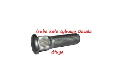 Śruba koła tylnego Gazela długa