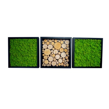 Obraz trzy ramy mech chrobotek + drewno 25x25 cm