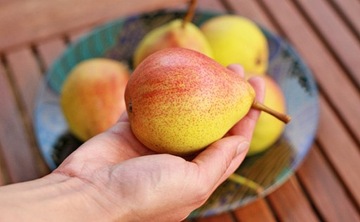 SYLLIT 65WP 45г ГРИБКОВАЯ ПЯШКА КУРЬЕВАЯ ПЯТНОСТНОСТЬ ЛИСТА