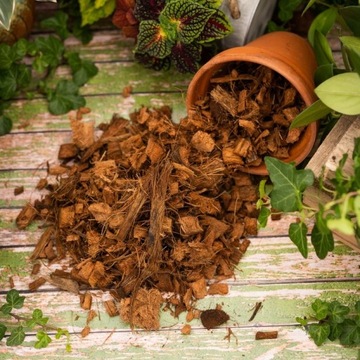 Чипсы Чипсы Кокосовое волокно COCO 10мм 5л Субстрат Biovita