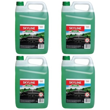 LETNI PŁYN DO SPRYSKIWACZY JABŁKOWY - SKYLINE - 20L - 4x5L