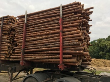 Колья, деревянные столбы для пропитки деревьев. fi5см 200см от Свадзима ХИТ!