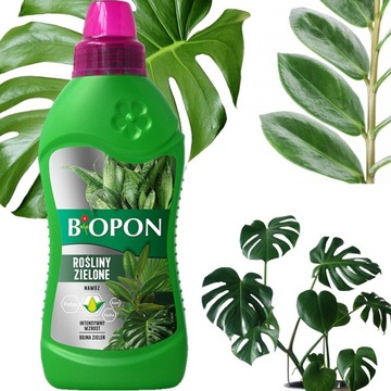 BIOPON ODŻYWKA NAWÓZ DO ROŚLIN ZIELONYCH 1L