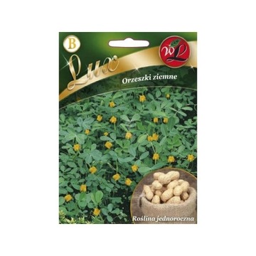 ORZESZKI ZIEMNE 10G LEGUTKO