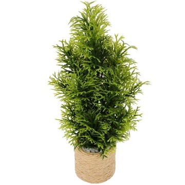 DOMEK DLA LAL MINIATUROWE BONSAI MAŁA ROŚLINA DONICZKOWA