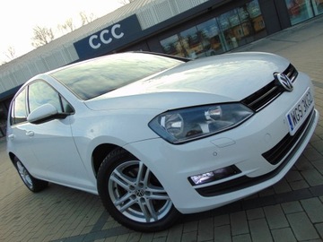 Volkswagen Golf VII Hatchback 3d 1.6 TDI BlueMotion 110KM 2015 VW GOLF 7 1.6 TDI 110 PS NAVI ALU TEMPOMAT KLIMATRONIC GRZANE FOTELE, zdjęcie 1