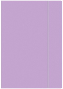 Папка для документов на резинке А4, пастель, канцелярия, 300г Органайзер