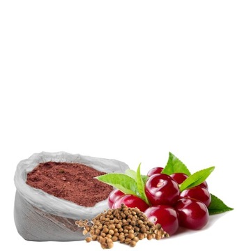 PROFESS OPTIMA Fishing Прикормка Кориандр и Вишня 1 кг