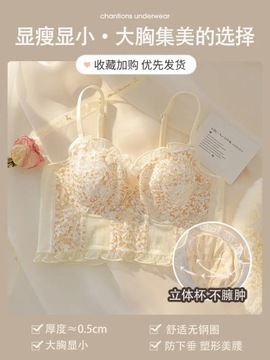 French pure desire sexy lace lingerie small breast