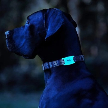 Case-Mate Dog Collar Mount — чехол с креплением на ошейник для Apple AirTag (диаметр