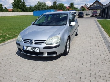 Volkswagen Golf V Hatchback 1.9 TDI 105KM 2004 Volkswagen Golf 1.9tdi 105KM 5 Drzwi Klima Raty, zdjęcie 1