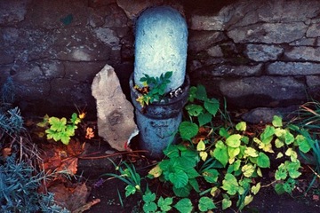 Kodak Vision2 100T 5212 36эксп. DX-код