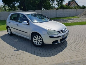 Volkswagen Golf V Hatchback 1.9 TDI 105KM 2004 Volkswagen Golf 1.9tdi 105KM 5 Drzwi Klima Raty, zdjęcie 35