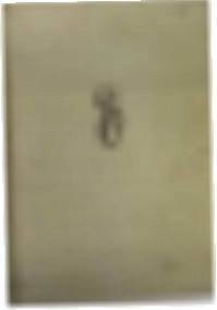 Poswatanie warszawskie - A Borkiewicz