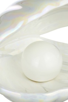 БЕСПРОВОДНОЙ ДИЗАЙНЕР НОЧНОЙ СВЕТ КЕРАМИЧЕСКИЙ ПРИВЕЛО РАКОВИНА ЖЕМЧУЖИНА