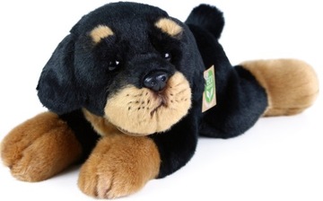 MASKOTKA PIES ROTTWEILER REALISYCZNY MASTIF